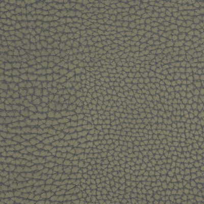 KRAVET COUTURE FORGETFUL.21.0 FORGETFUL GREYSTONE Fabric - Eade's Wallpaper