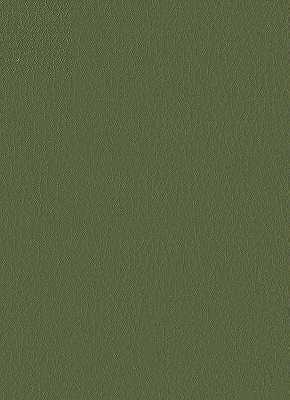 KRAVET DESIGN FORTUNE.30.0 KRAVET DESIGN FORTUNE-30 Fabric - Eade's Wallpaper