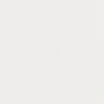 KRAVET CONTRACT FORZA.1.0 FORZA CHALK Fabric - EXTREME PERFORMANCE II