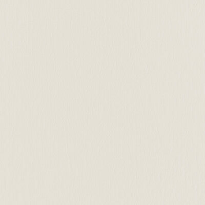 KRAVET CONTRACT FORZA.1601.0 FORZA PARCHMENT Fabric - EXTREME PERFORMANCE II