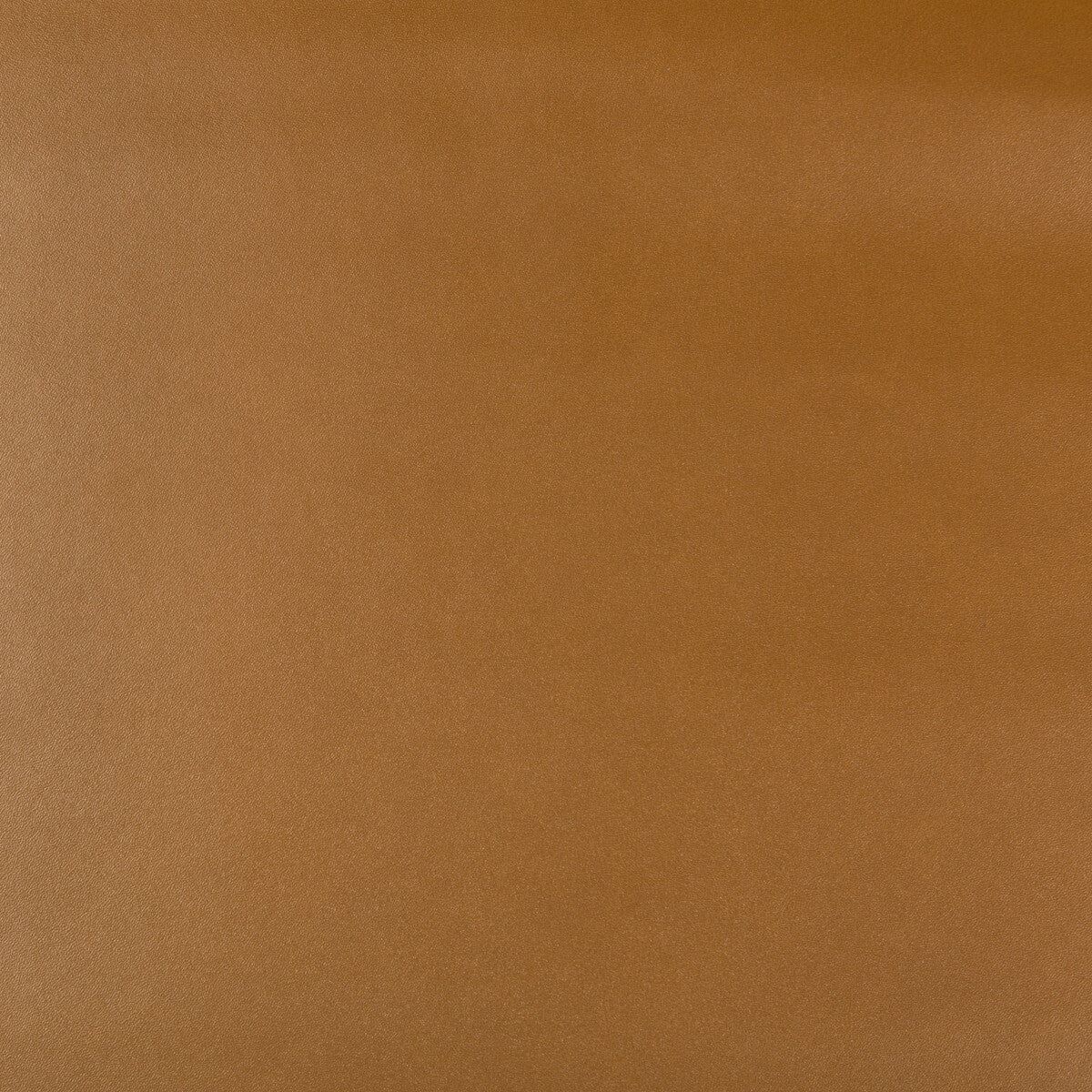 KRAVET DESIGN FRANKEL.624.0 KRAVET DESIGN FRANKEL-624 Fabric - Eade's Wallpaper