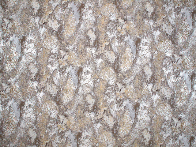Scalamandre FR 0002LUMI GREIGE LUMINESCENCE Fabric - Eade's Wallpaper