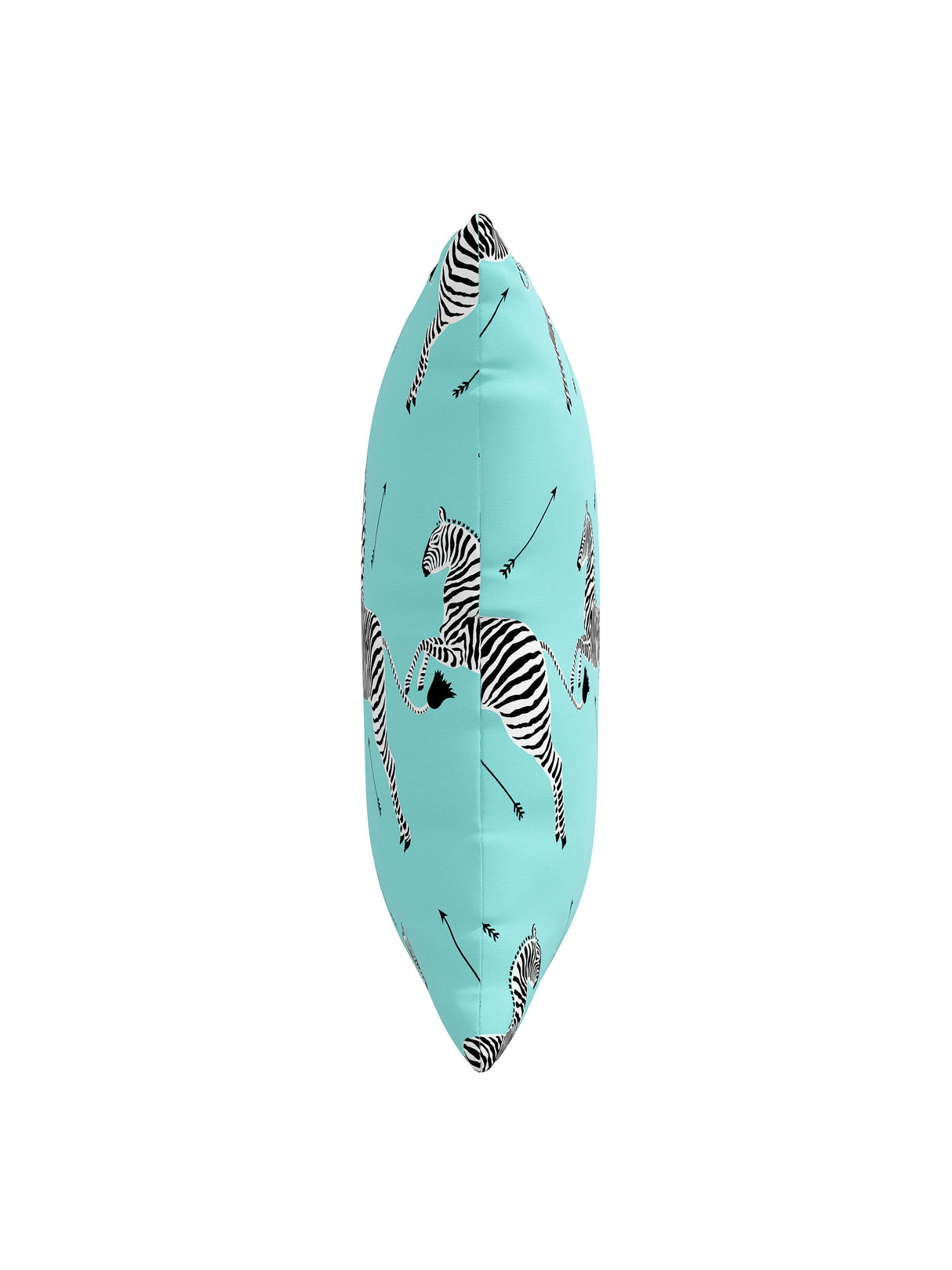 Scalamandre FS30001SCPKZEBR ZEBRAS PILLOW - Pillow Collectio