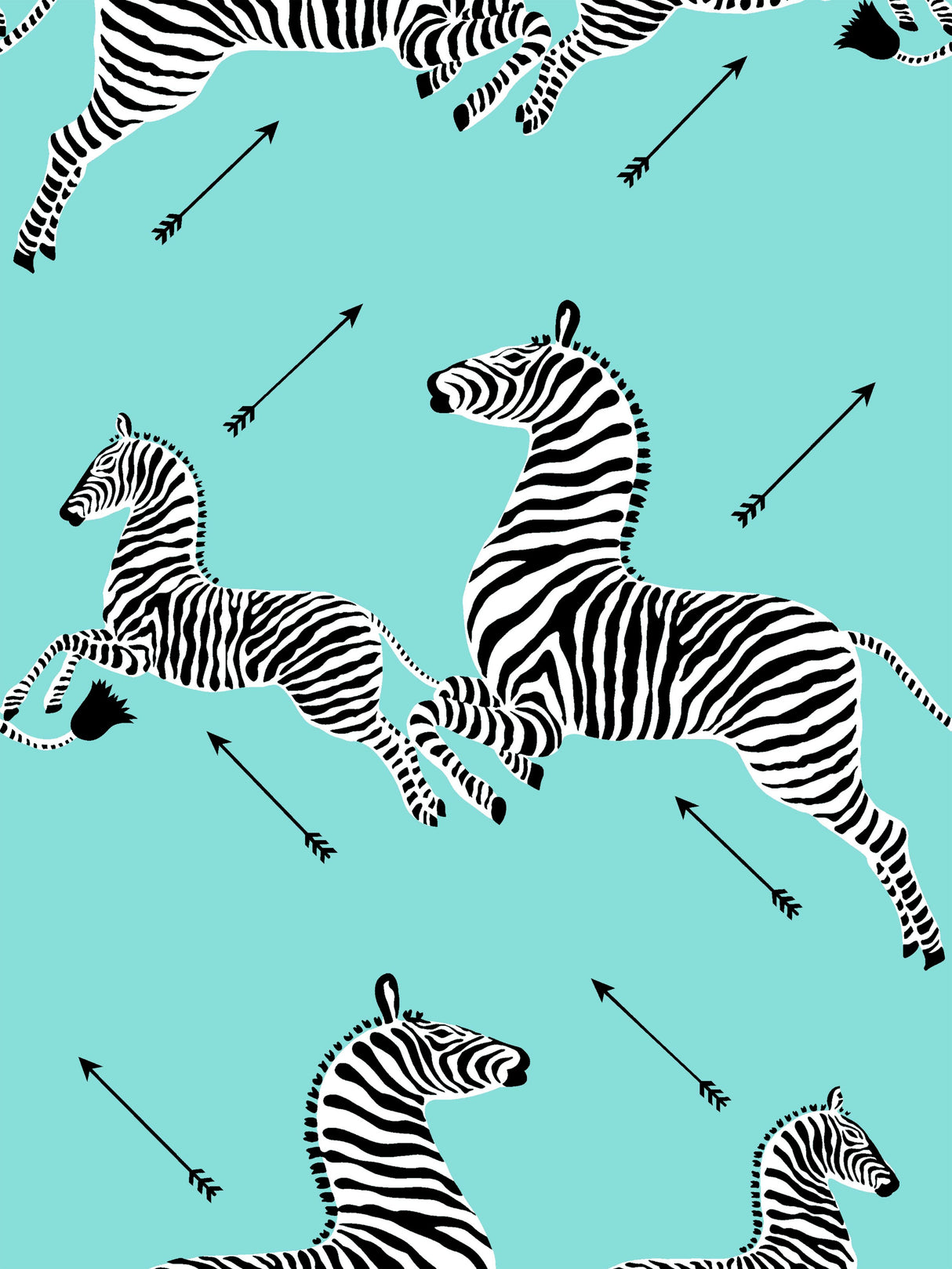 Scalamandre FS30001SCPKZEBR ZEBRAS PILLOW - Pillow Collectio