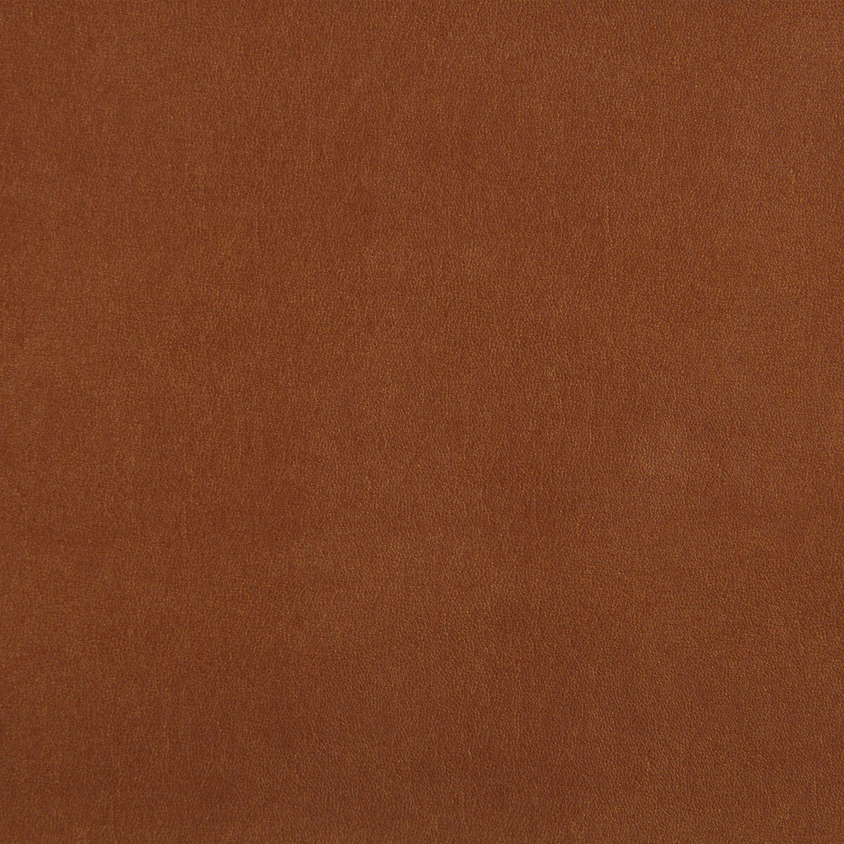 KRAVET DESIGN FUTURO.124.0 KRAVET DESIGN FUTURO-124 Fabric - Eade's Wallpaper