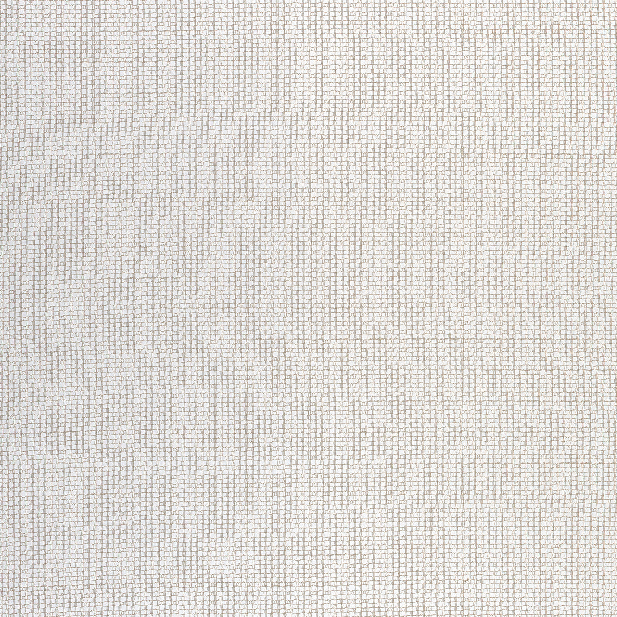 Thibaut FWW7105 CARBALLO Ivory