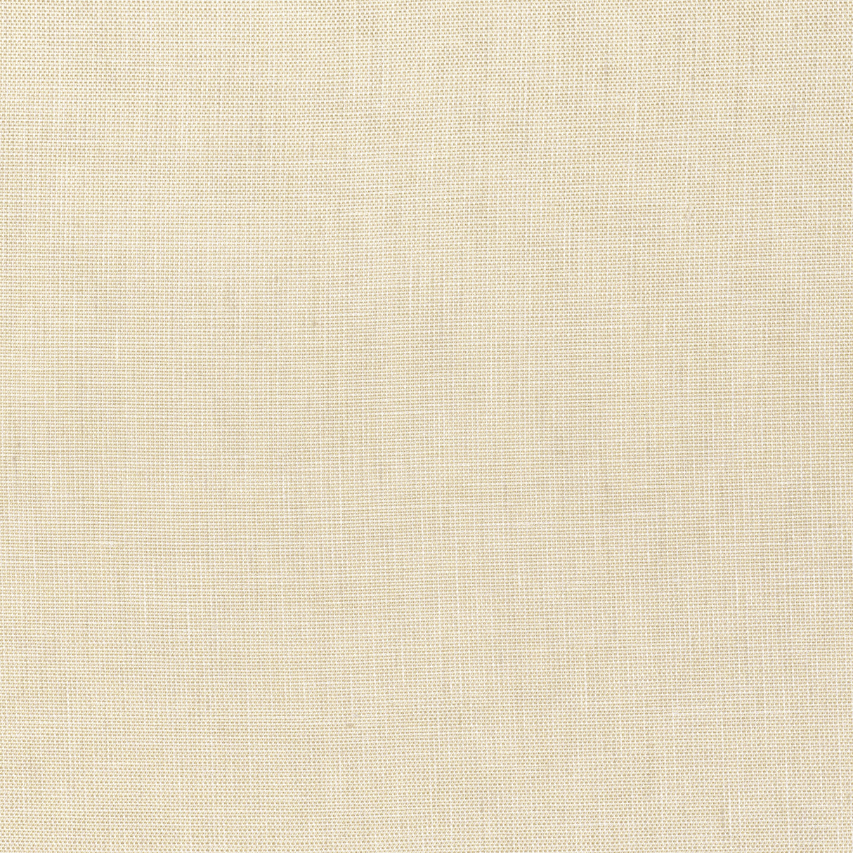 Thibaut FWW7607 SKYE LINEN Cashmere