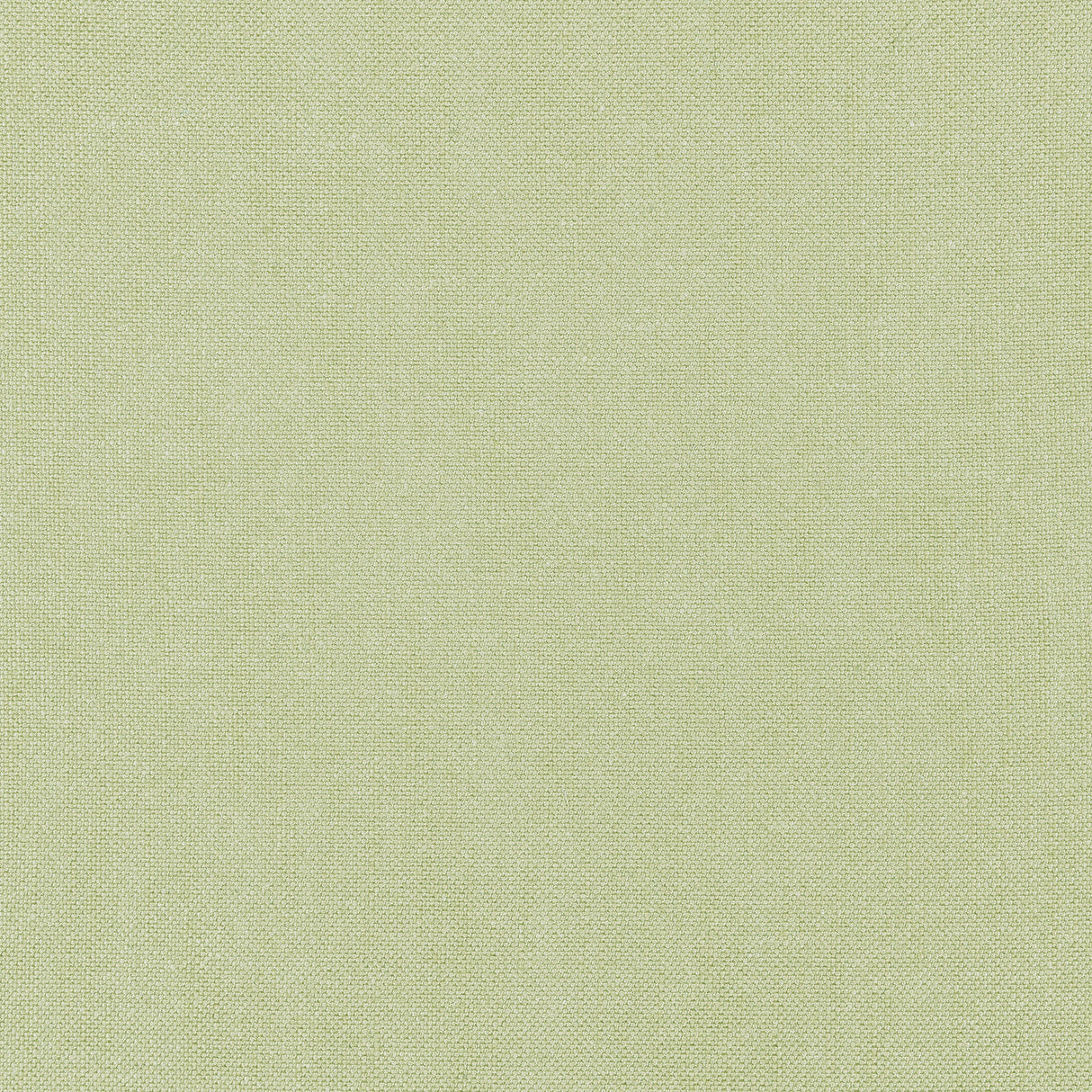 Thibaut FWW7623 PALISADE LINEN Celadon