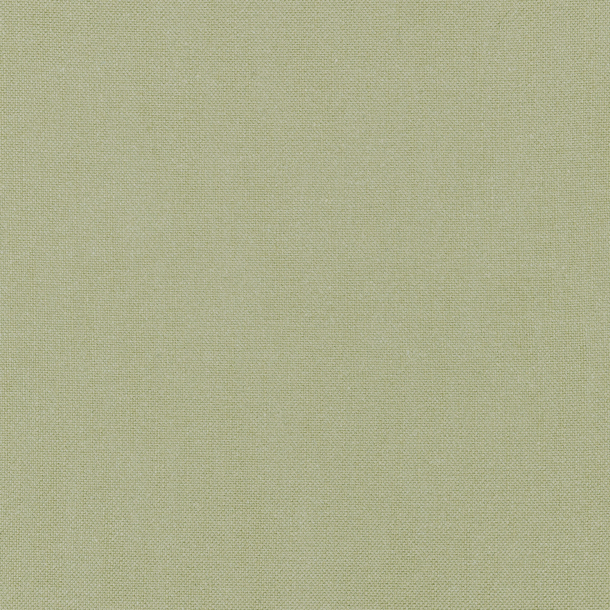 Thibaut FWW7655 PALISADE LINEN Moss