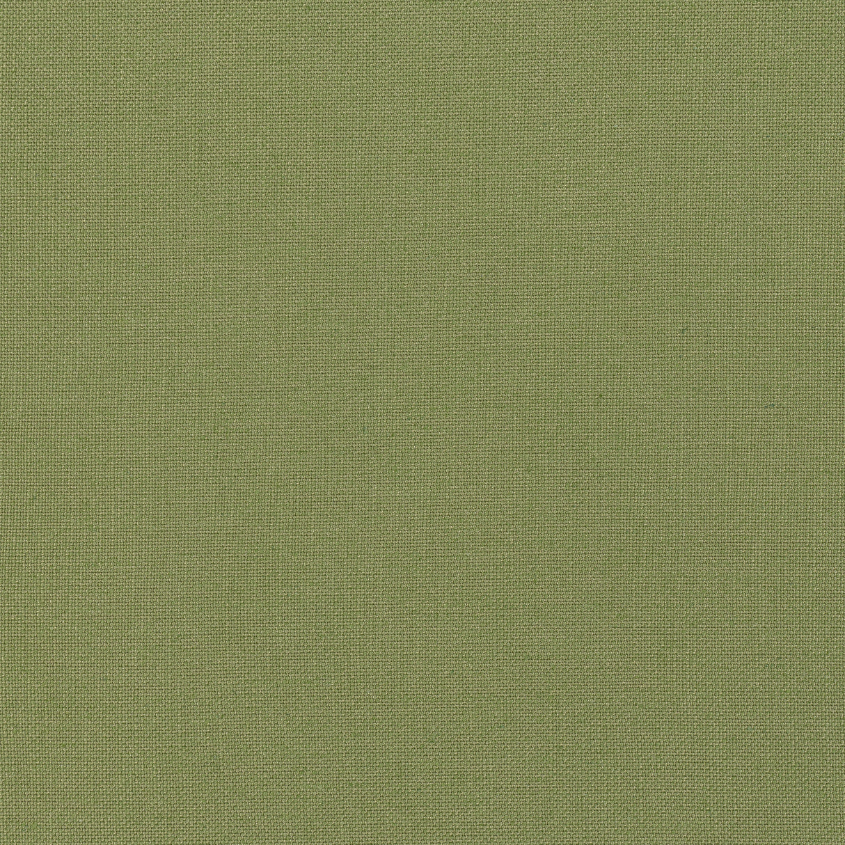 Thibaut FWW7657 PALISADE LINEN Olive