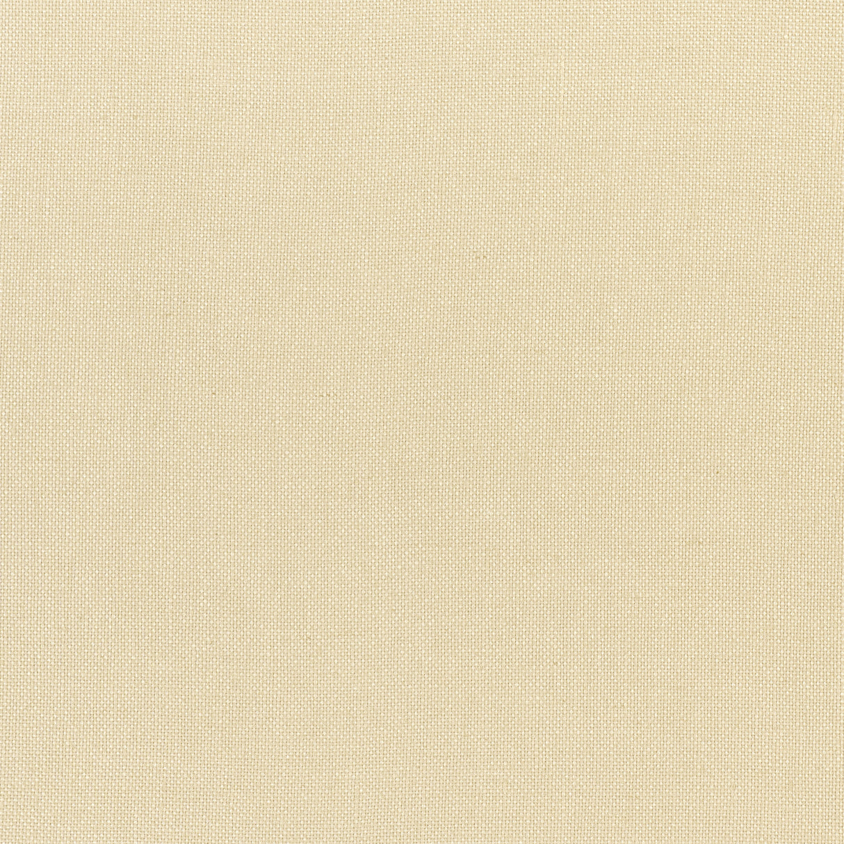 Thibaut FWW7672 DAWN LINEN Cashmere