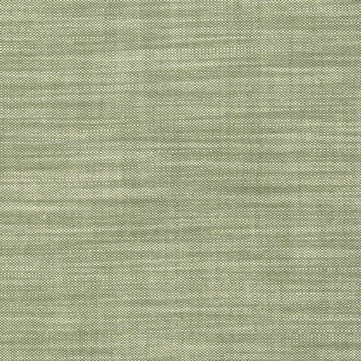Thibaut FWW7690 TERRA LINEN Olive