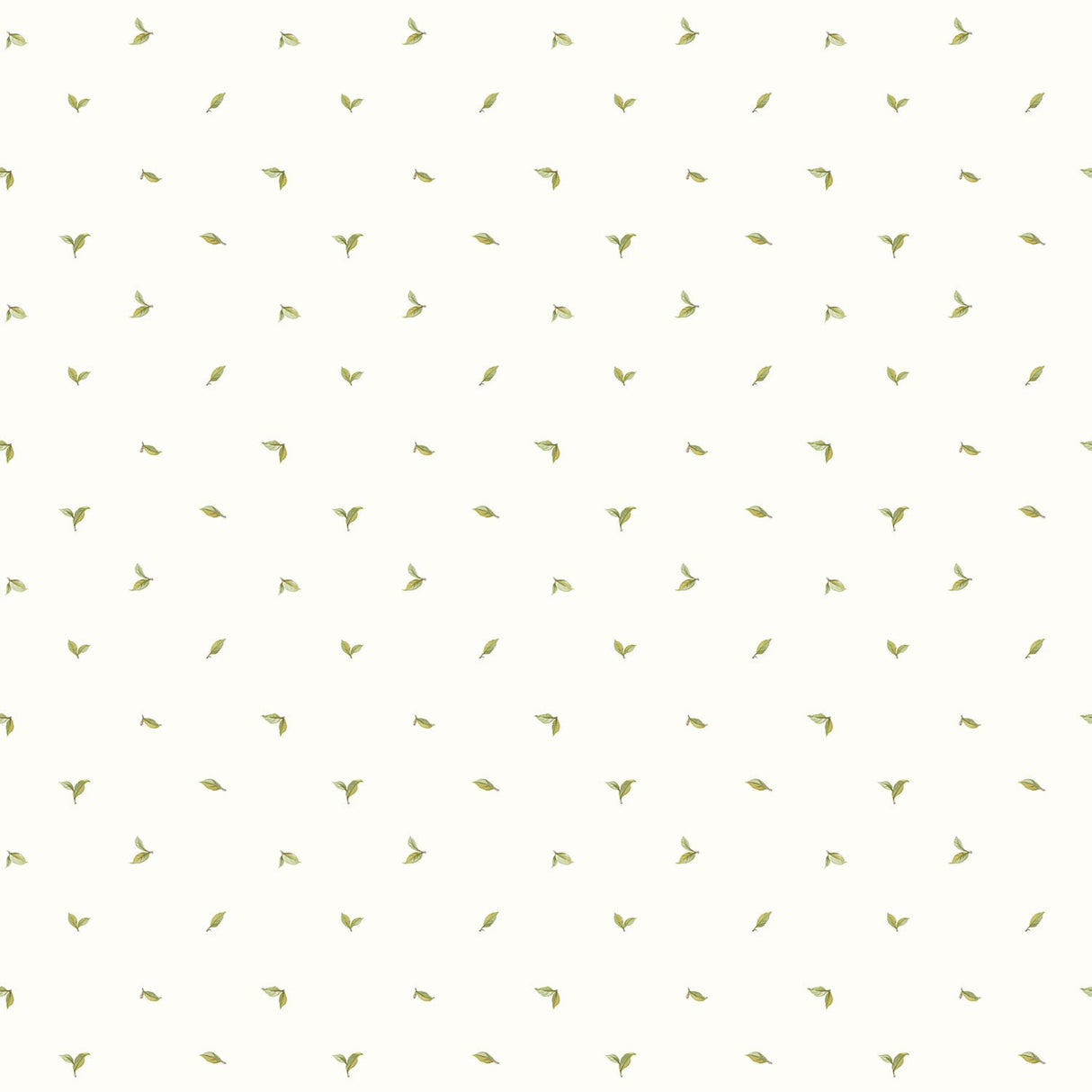 Eade's G12277-sample Cream