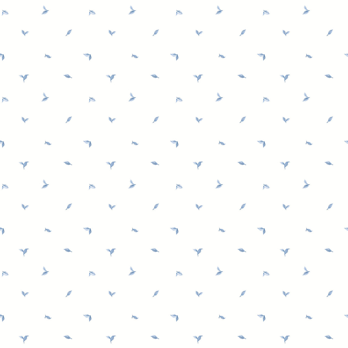 Eade's G12279-sample White