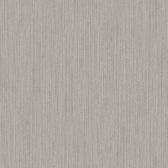 Galerie G67660 Silver Grey Plain Texture - Eade's Wallpaper