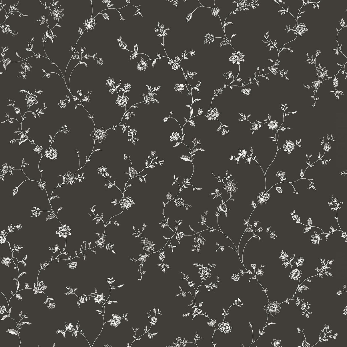 Galerie G67861 Black Floral Trail - Eade's Wallpaper
