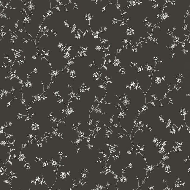 Galerie G67861 Black Floral Trail - Eade's Wallpaper