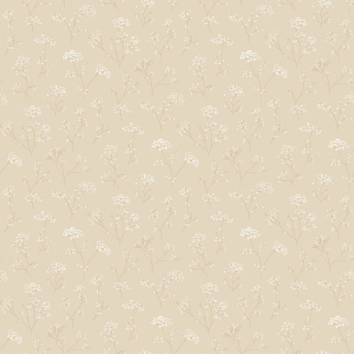 Galerie G67869 Cream Parsley Floral - Eade's Wallpaper