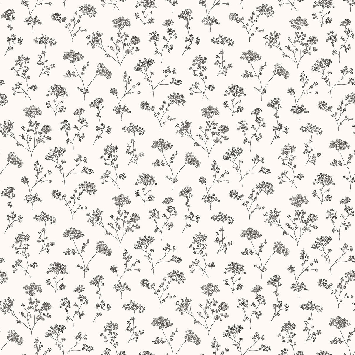 Galerie G67870 White Parsley Floral - Eade's Wallpaper