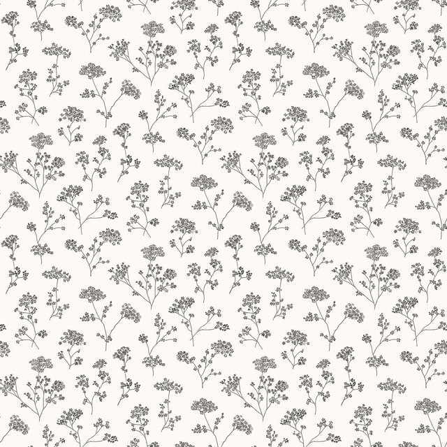 Galerie G67870 White Parsley Floral - Eade's Wallpaper