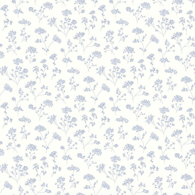 Galerie G67871 Blue Parsley Floral - Eade's Wallpaper