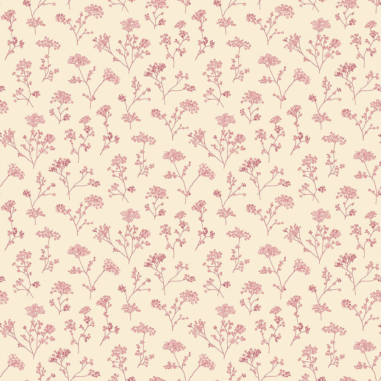 Galerie G67872 Cream Parsley Floral - Eade's Wallpaper