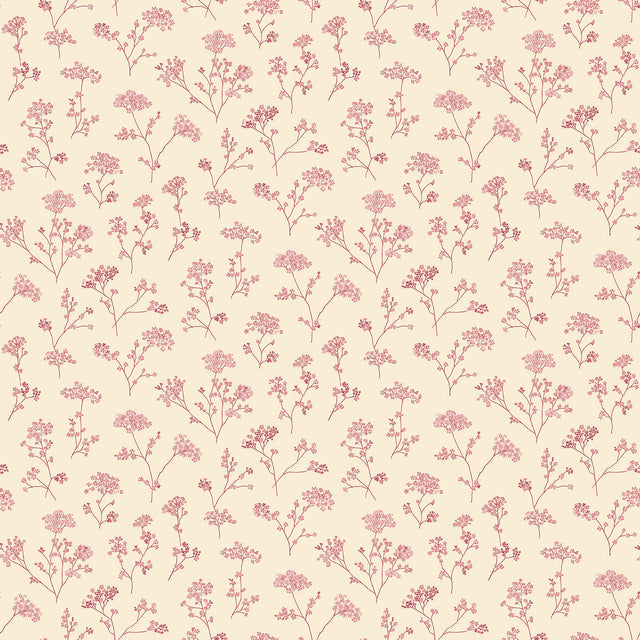 Galerie G67872 Cream Parsley Floral - Eade's Wallpaper