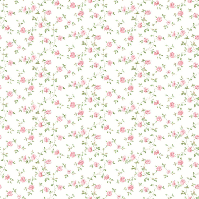 Galerie G67889 White Rose Trellis - Eade's Wallpaper