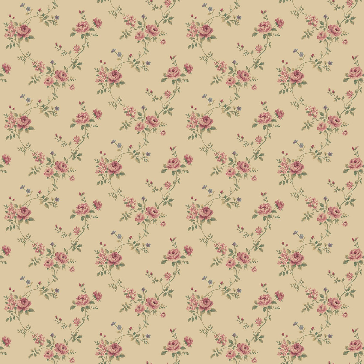 Galerie G67894 Beige Rose Floral - Eade's Wallpaper