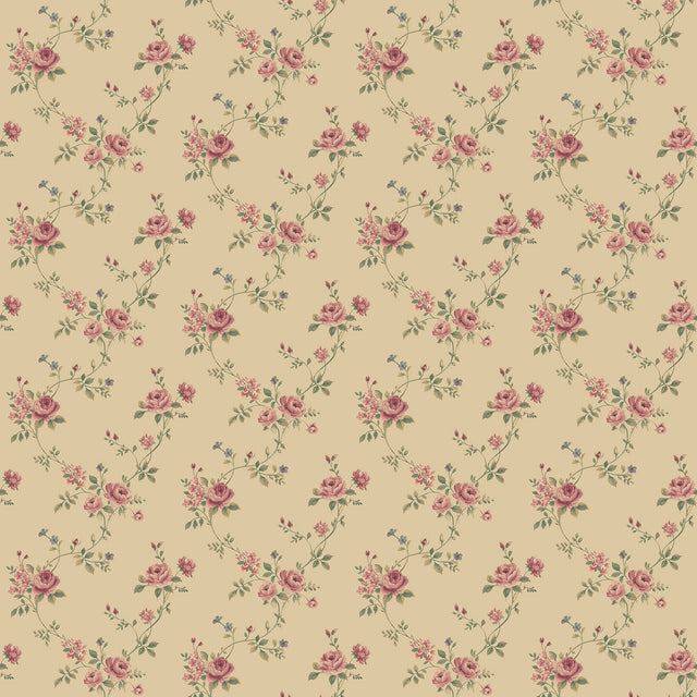 Galerie G67894 Beige Rose Floral - Eade's Wallpaper