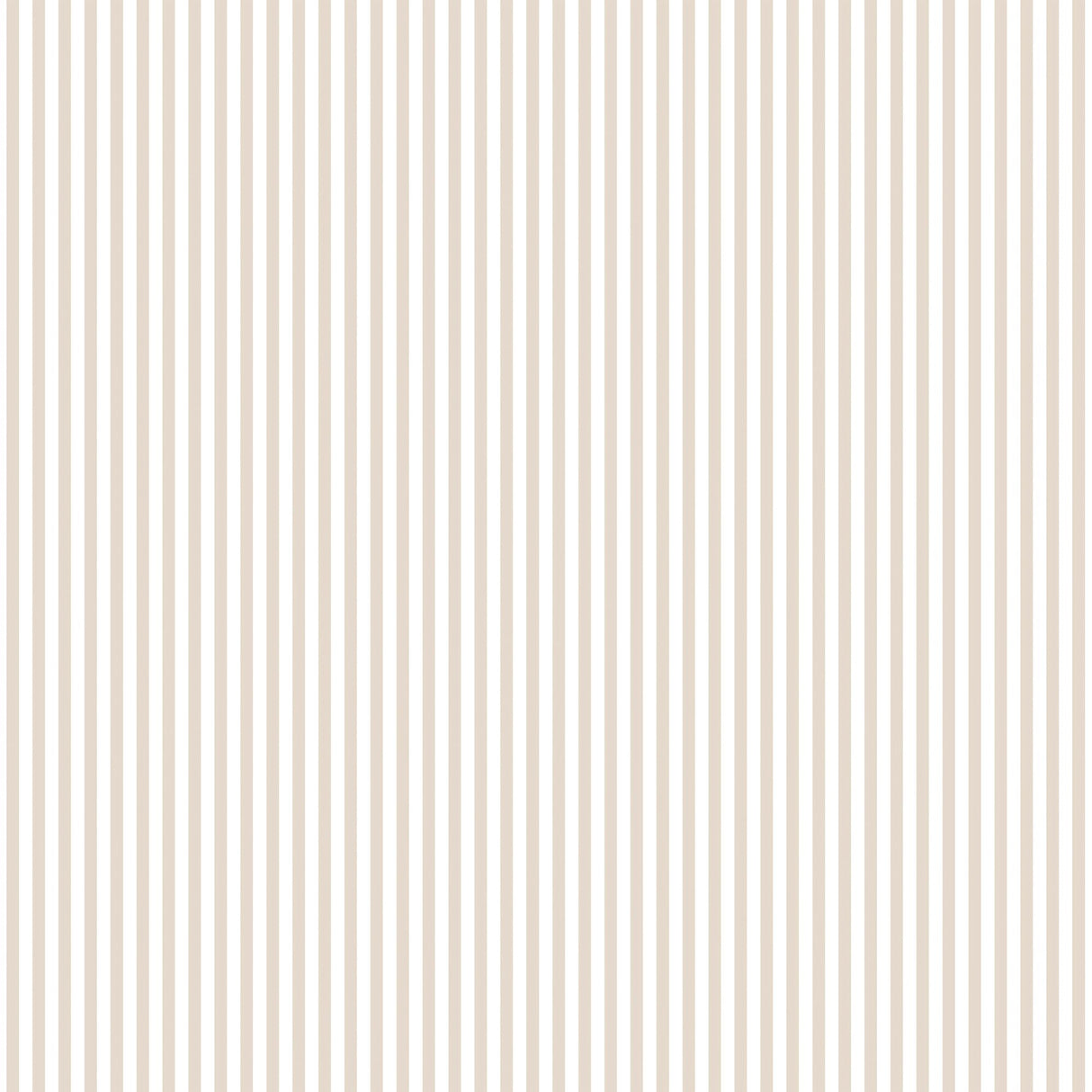 Galerie G67913 Cream Shirt Stripe - Eade's Wallpaper