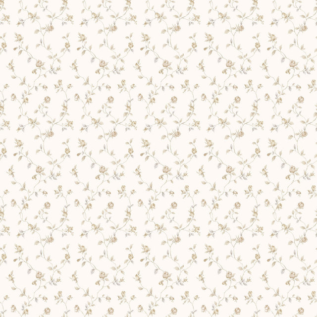 Galerie G67933 Cream Rose Bud Trellis - Eade's Wallpaper