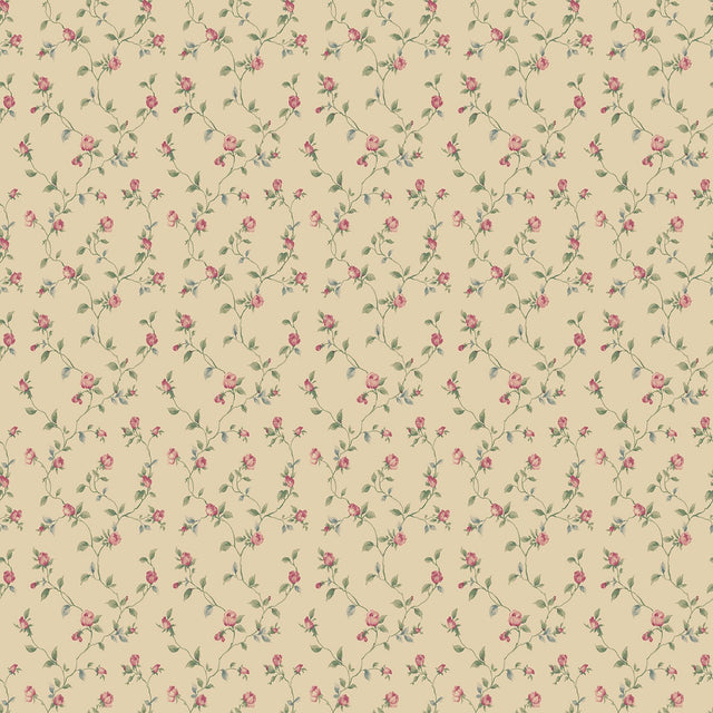 Galerie G67934 Cream Rose Bud Trellis - Eade's Wallpaper