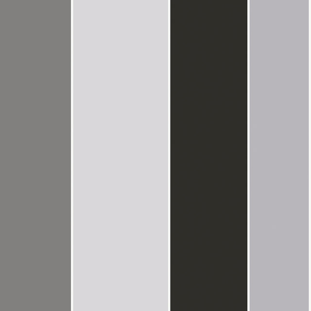 Galerie G68074 Silver Grey Wide Stripe - Eade's Wallpaper