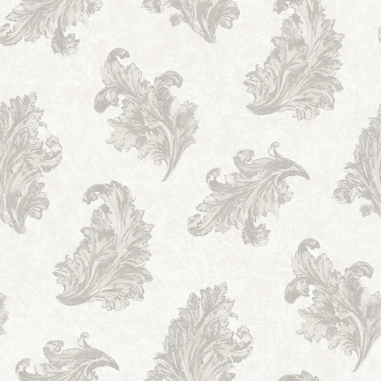 Galerie G68661 Silver Grey Acanthus - Eade's Wallpaper
