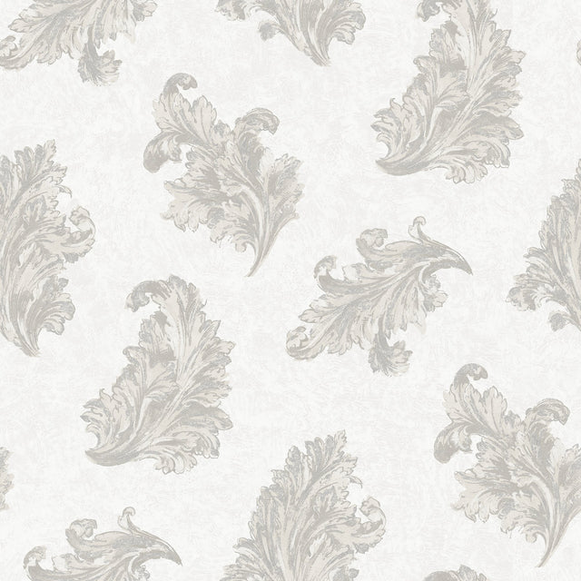 Galerie G68661 Silver Grey Acanthus - Eade's Wallpaper