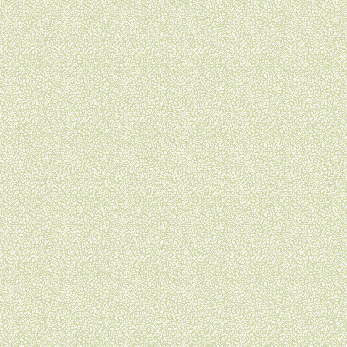 Eade's G68708-sample Green