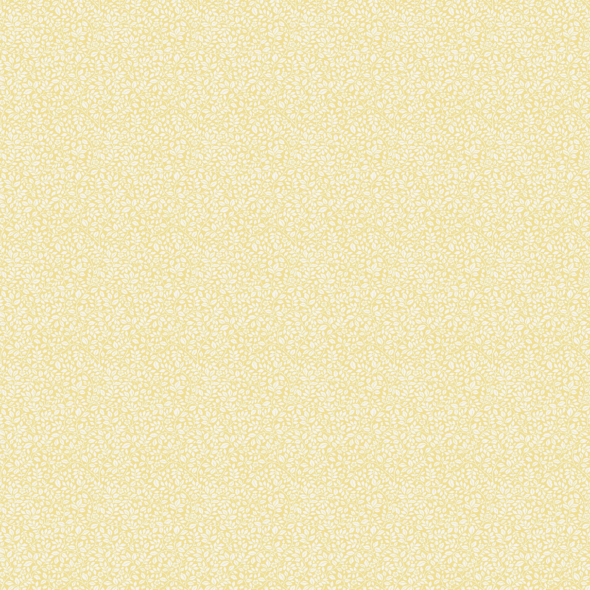 Eade's G68712-sample Yellow