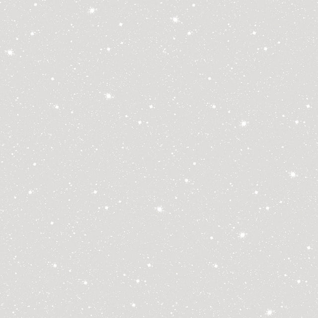 Galerie G78409 Silver Grey Space Sidewall - Eade's Wallpaper
