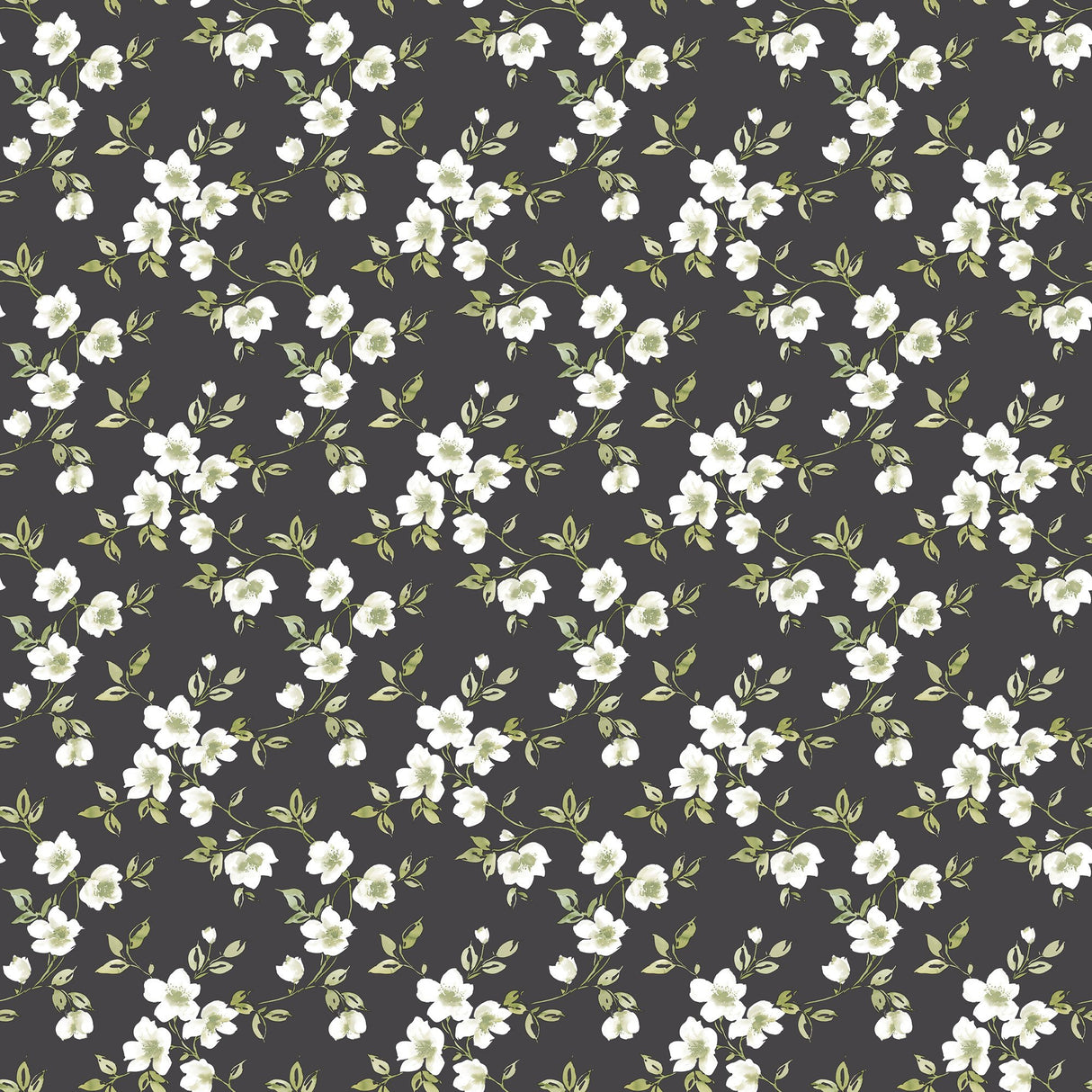 Galerie G78480 Black Anenome Mini - Eade's Wallpaper