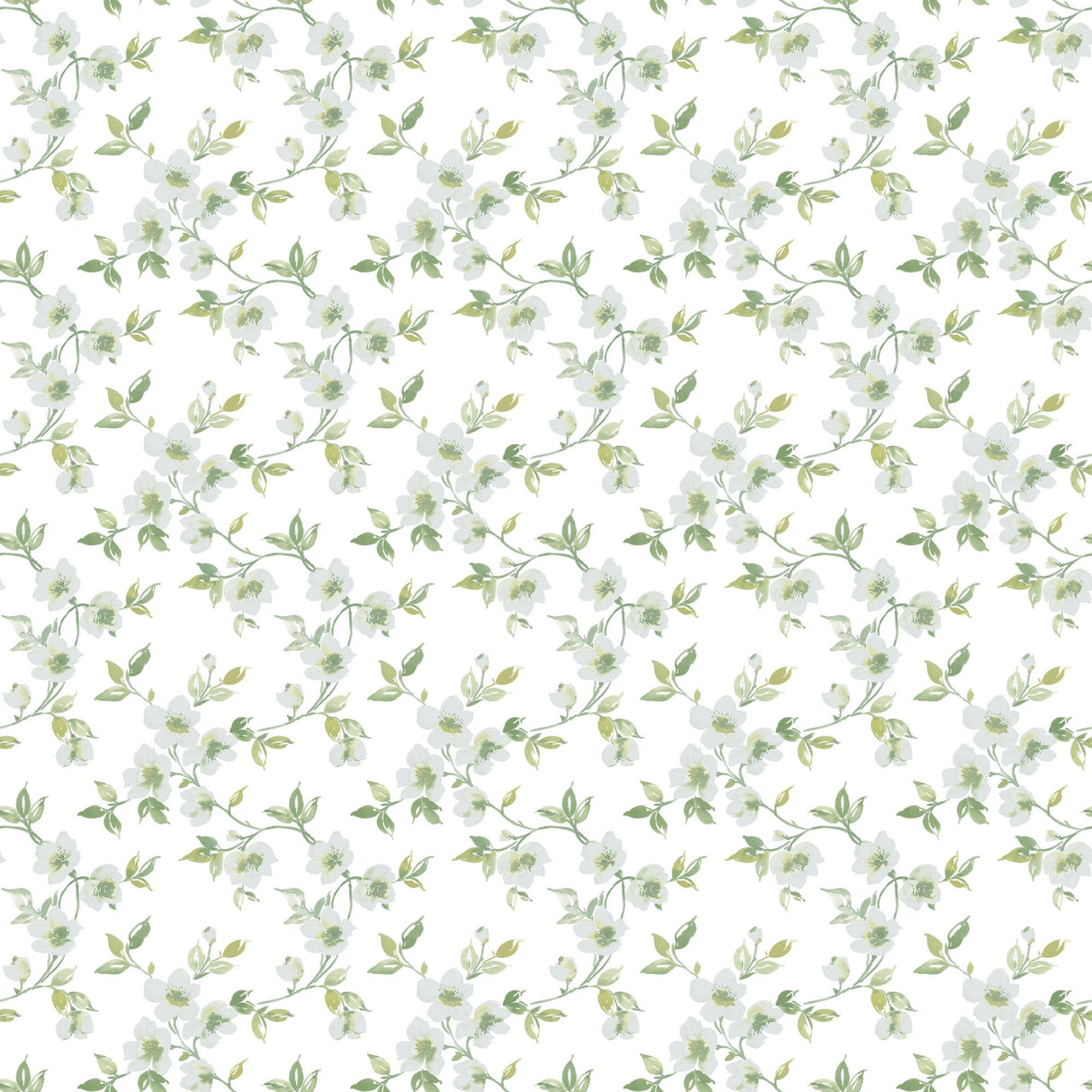 Galerie G78483 Green Anenome Mini - Eade's Wallpaper