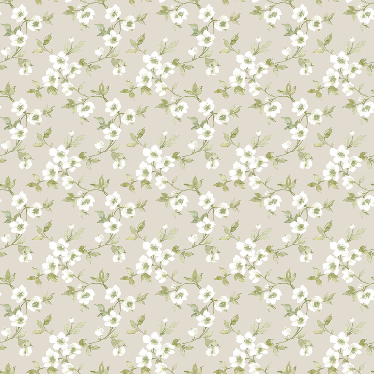Galerie G78488 Green Anenome Mini - Eade's Wallpaper