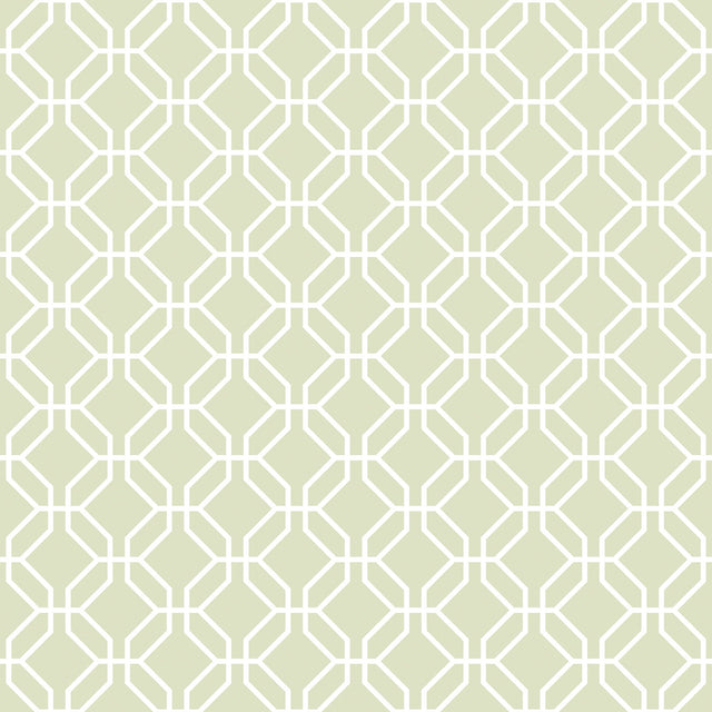 Galerie G78523 Green Trellis Negative - Eade's Wallpaper