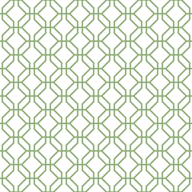 Galerie G78528 Green Trellis Positive - Eade's Wallpaper