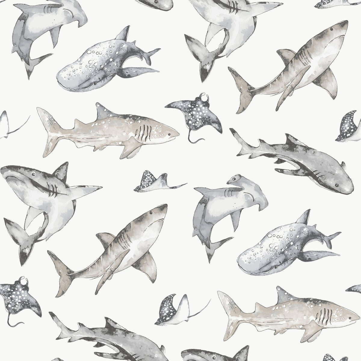 Galerie Kids and Teens Sharks Grey Wallpaper G78593