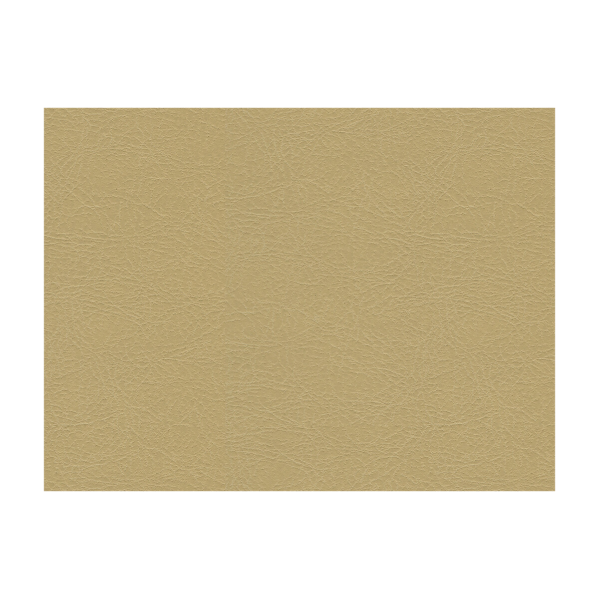 KRAVET DESIGN GAROUA.16.0 KRAVET DESIGN GAROUA-16 Fabric - Eade's Wallpaper