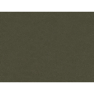 KRAVET DESIGN GAROUA.21.0 KRAVET DESIGN GAROUA-21 Fabric - Eade's Wallpaper