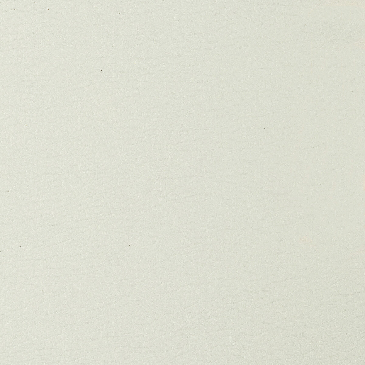 KRAVET DESIGN GATO.101.0 KRAVET DESIGN GATO-101 Fabric - Eade's Wallpaper