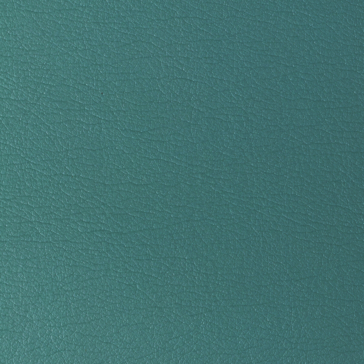 KRAVET DESIGN GATO.113.0 KRAVET DESIGN GATO-113 Fabric - Eade's Wallpaper