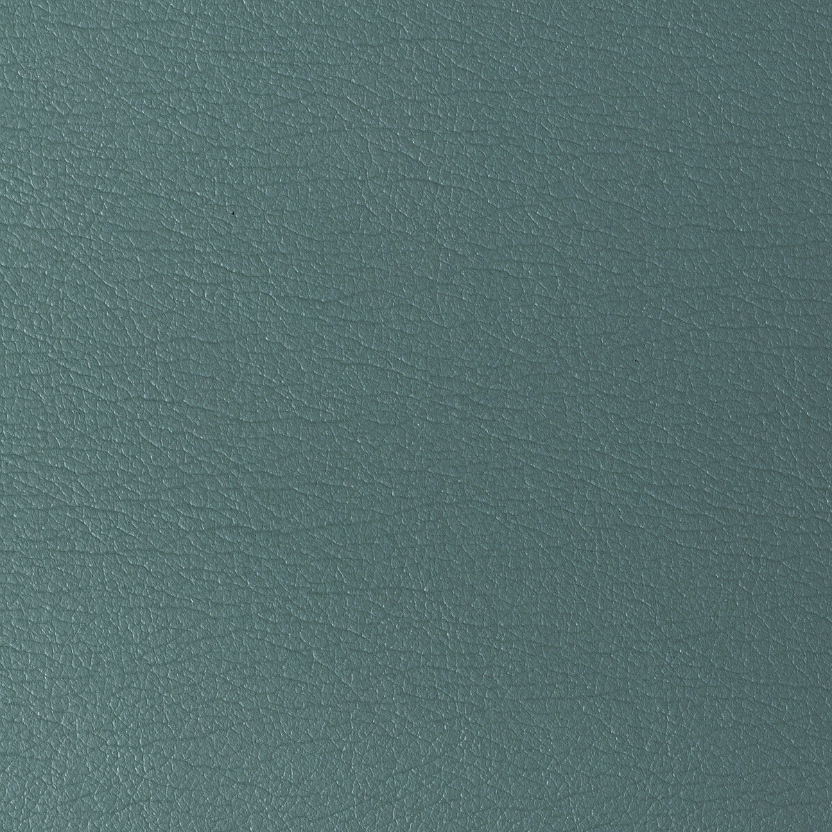 KRAVET DESIGN GATO.115.0 KRAVET DESIGN GATO-115 Fabric - Eade's Wallpaper